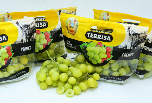 TERRISA Premier U.S.A. Green Grapes