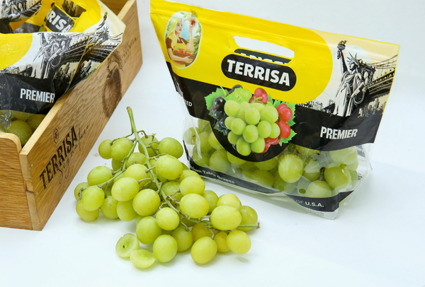 TERRISA Premier U.S.A. Green Grapes