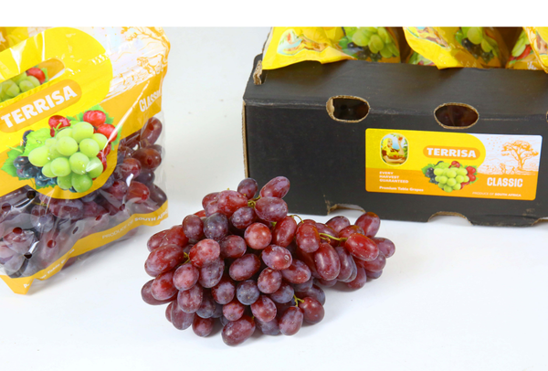 TERRISA Classic South African Red Grapes
