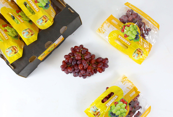 TERRISA Classic South African Red Grapes