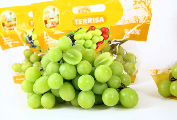 TERRISA Clasic South African Green Grapes