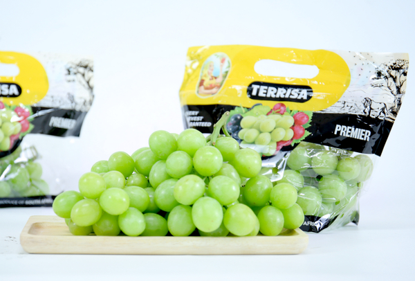 TERRISA Premier South African Green Grapes