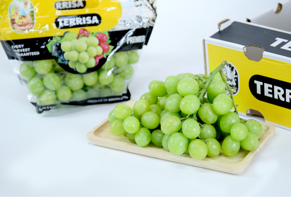 TERRISA Premier South African Green Grapes