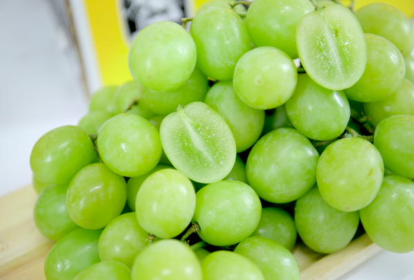 TERRISA Premier South African Green Grapes