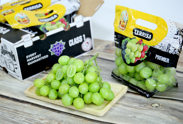 TERRISA Premier South African Green Grapes