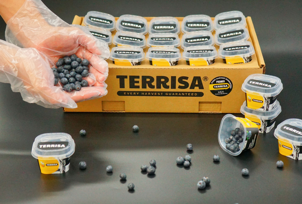 TERRISA Premier U.S.A. Cherries