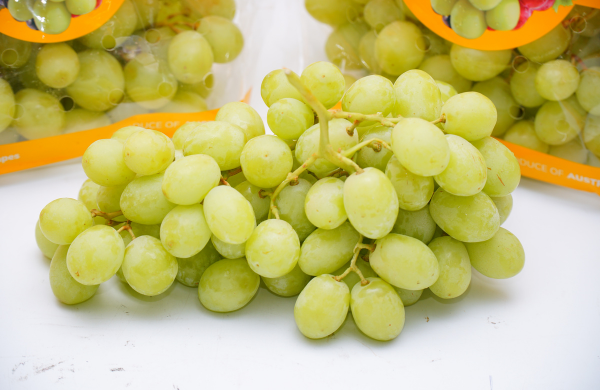 TERRISA Classic Australian Green Grapes