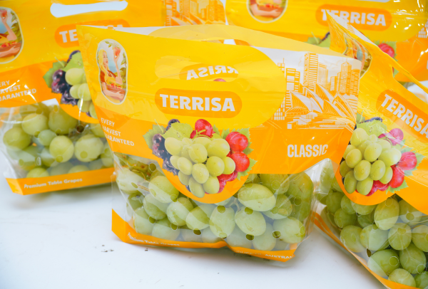 TERRISA Classic Australian Green Grapes