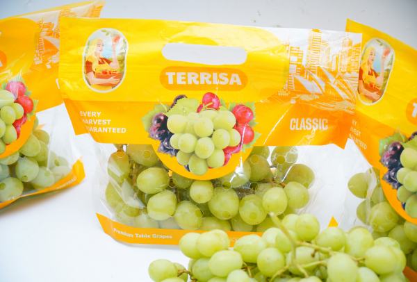 TERRISA Classic Australian Green Grapes