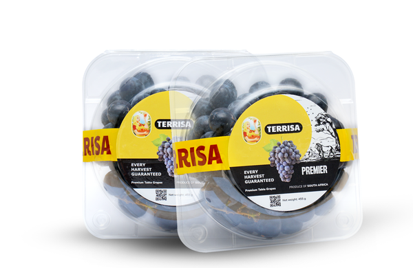 TERRISA Premier South African Black Grapes