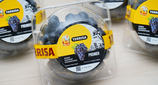 TERRISA Premier South African Black Grapes