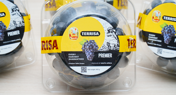 TERRISA Premier South African Black Grapes