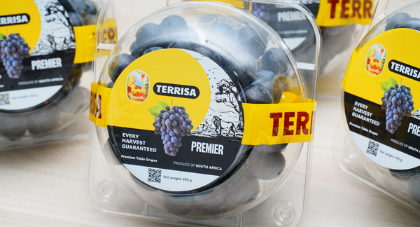 TERRISA Premier South African Black Grapes