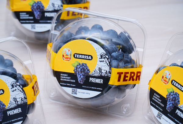 TERRISA Premier South African Black Grapes