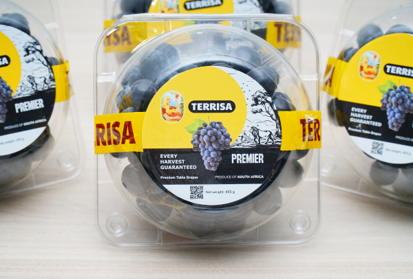 TERRISA Premier South African Black Grapes