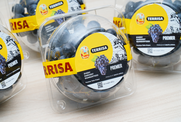 TERRISA Premier South African Black Grapes