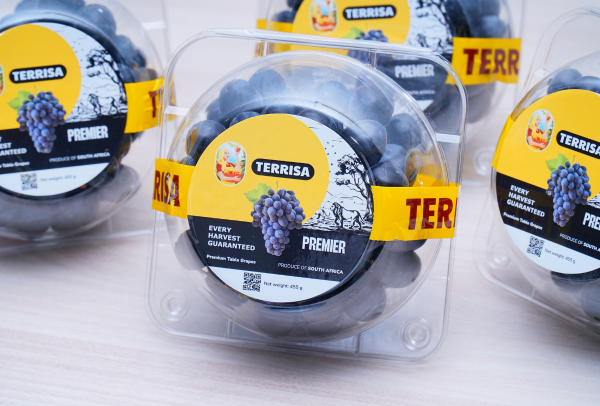 TERRISA Premier South African Black Grapes