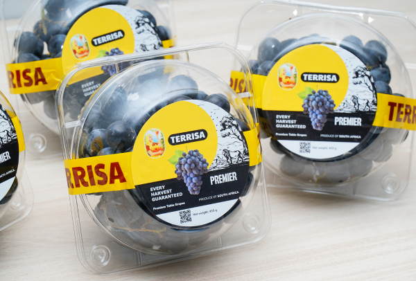 TERRISA Premier South African Black Grapes