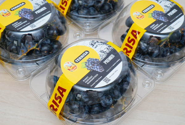 TERRISA Premier South African Black Grapes