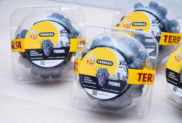 TERRISA Premier South African Black Grapes