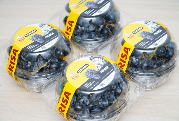 TERRISA Premier South African Black Grapes