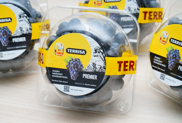 TERRISA Premier South African Black Grapes