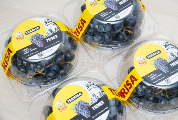 TERRISA Premier South African Black Grapes