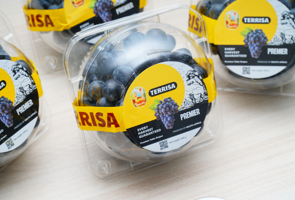 TERRISA Premier South African Black Grapes
