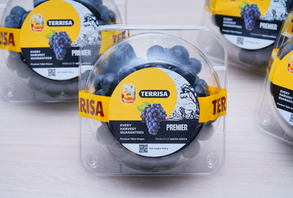 TERRISA Premier South African Black Grapes