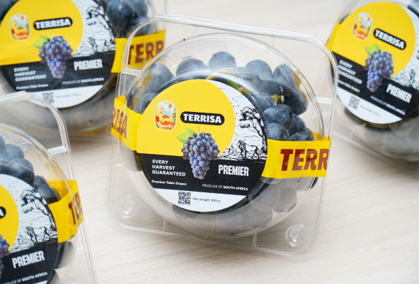 TERRISA Premier South African Black Grapes